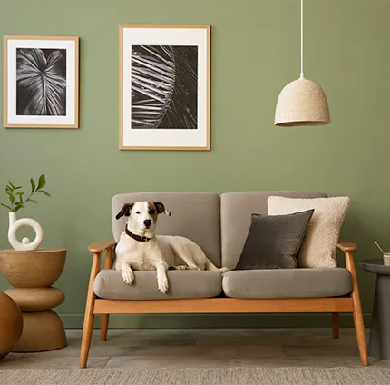 Decoração de Interiores em Alphaville: Exclusividade Garantida | Decor Boa Vista